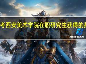 报考西安美术学院在职研究生获得的是双证吗
