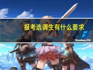 报考选调生有什么要求