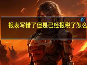 报表写错了但是已经报税了怎么办