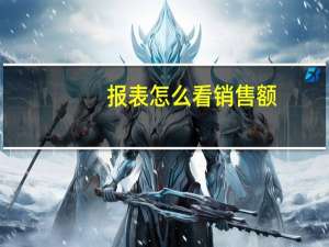 报表怎么看销售额