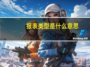 报表类型是什么意思