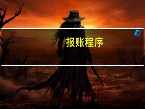 报账程序