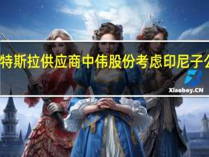 报道称特斯拉供应商中伟股份考虑印尼子公司上市事宜