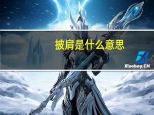 披肩是什么意思