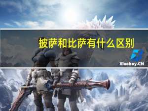 披萨和比萨有什么区别
