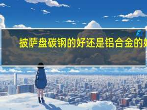 披萨盘碳钢的好还是铝合金的好（psp太鼓达人下载）