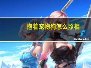 抱着宠物狗怎么照相