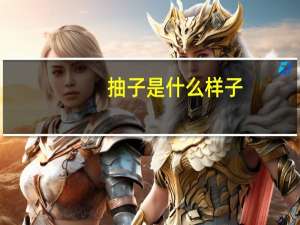 抽子是什么样子（抽子是什么意思）