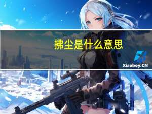 拂尘是什么意思