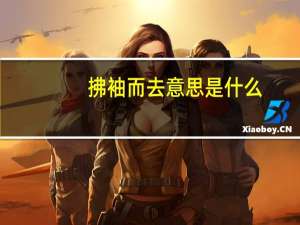 拂袖而去意思是什么