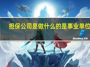 担保公司是做什么的是事业单位吗（担保公司是做什么的）