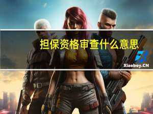 担保资格审查什么意思