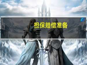 担保赔偿准备