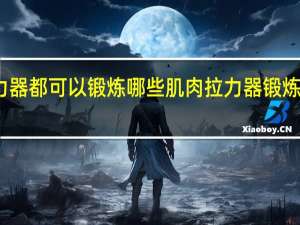 拉力器都可以锻炼哪些肌肉 拉力器锻炼方法图解