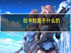 拉卡拉是干什么的