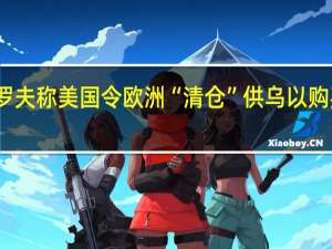 拉夫罗夫称美国令欧洲“清仓”供乌以购买美制装备