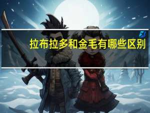 拉布拉多和金毛有哪些区别