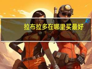 拉布拉多在哪里买最好