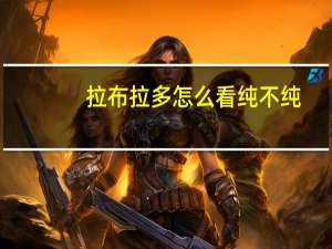 拉布拉多怎么看纯不纯（拉布拉多怎么看纯不纯）