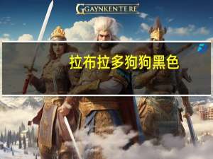 拉布拉多狗狗黑色