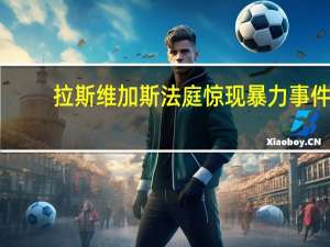 拉斯维加斯法庭惊现暴力事件：内华达州法官在宣判时遭被告袭击