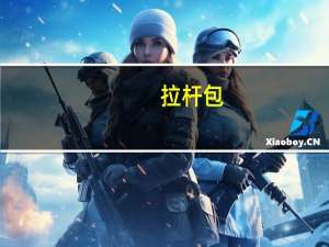 拉杆包（拉杆包）