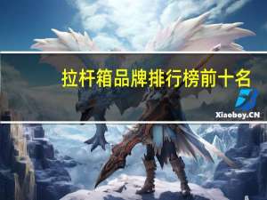 拉杆箱品牌排行榜前十名（拉杆箱品牌排行榜）
