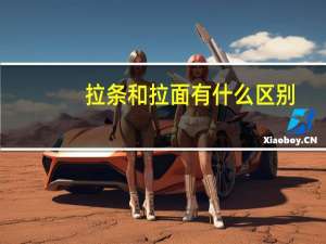 拉条和拉面有什么区别