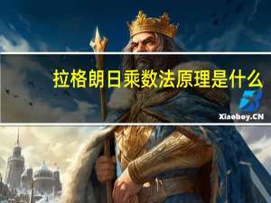 拉格朗日乘数法原理是什么（拉格朗日乘数法原理）