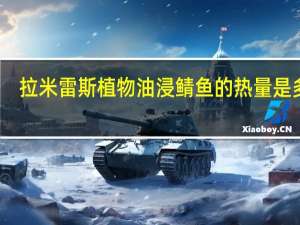 拉米雷斯 植物油浸鲭鱼的热量是多少