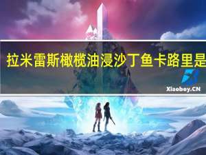 拉米雷斯 橄榄油浸沙丁鱼卡路里是多少