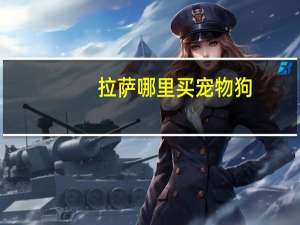 拉萨哪里买宠物狗