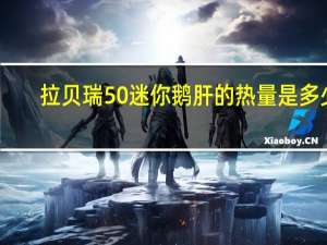 拉贝瑞 50%迷你鹅肝的热量是多少