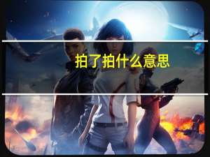 拍了拍什么意思