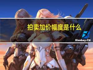 拍卖加价幅度是什么