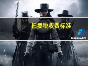 拍卖税收费标准