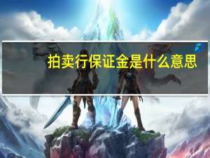 拍卖行保证金是什么意思