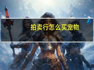 拍卖行怎么买宠物