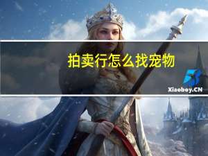 拍卖行怎么找宠物