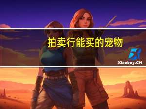 拍卖行能买的宠物