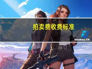 拍卖费收费标准