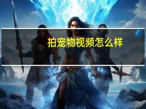拍宠物视频怎么样