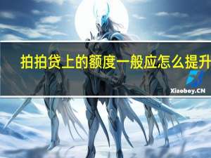 拍拍贷上的额度一般应怎么提升啊