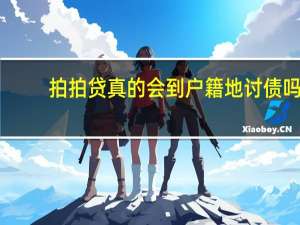 拍拍贷真的会到户籍地讨债吗