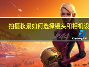 拍摄秋景如何选择镜头和相机设置