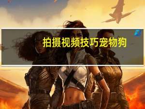 拍摄视频技巧宠物狗