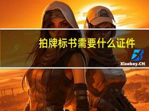 拍牌标书需要什么证件