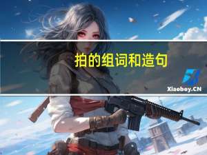 拍的组词和造句（拍的组词）