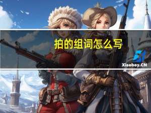 拍的组词怎么写（拍的组词）
