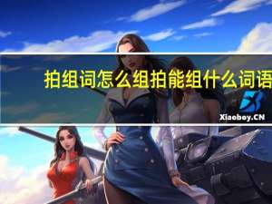 拍组词怎么组拍能组什么词语